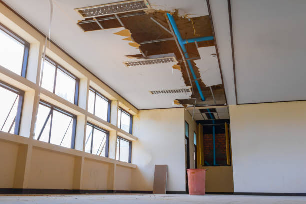 Best Commercial water damage restoration  in USA